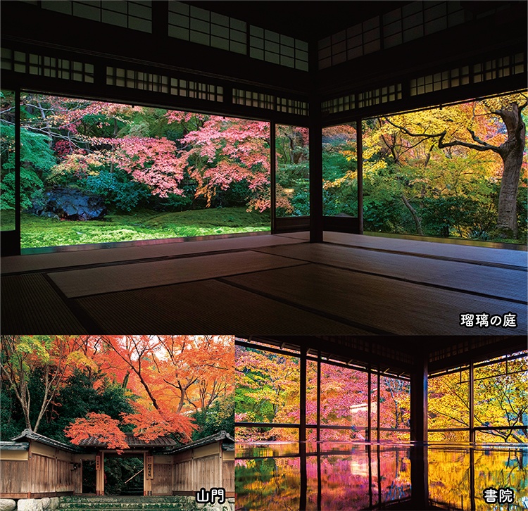 瑠璃光院 瑠璃の庭・山門・書院