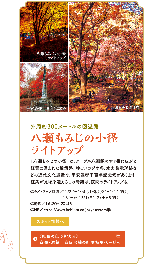 紅葉に染まる秋の比叡山へ 比叡山 びわ湖 観光情報サイト 山と水と光の廻廊