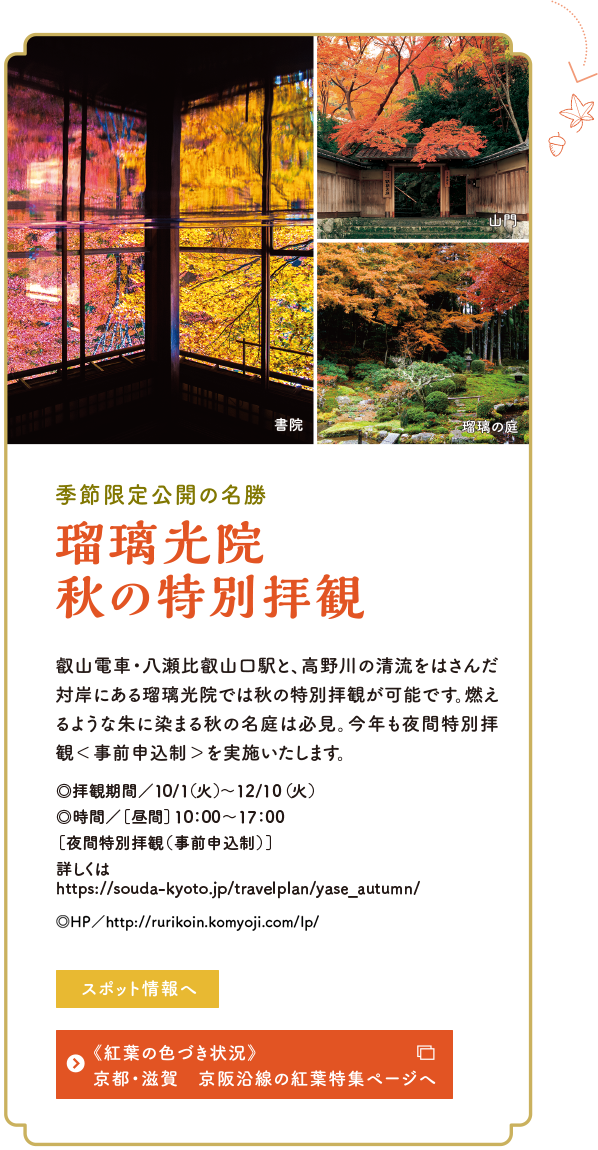 紅葉に染まる秋の比叡山へ 比叡山 びわ湖 観光情報サイト 山と水と光の廻廊