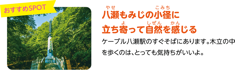 （おすすめSPOT）八瀬もみじの小径に立ち寄って自然を感じる。ケーブル八瀬駅のすぐそばにあります。木立の中を歩くのは、とっても気持ちがいいよ。