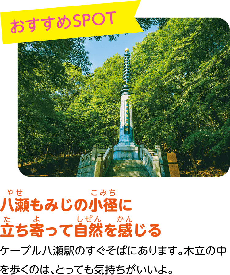 （おすすめSPOT）八瀬もみじの小径に立ち寄って自然を感じる。ケーブル八瀬駅のすぐそばにあります。木立の中を歩くのは、とっても気持ちがいいよ。