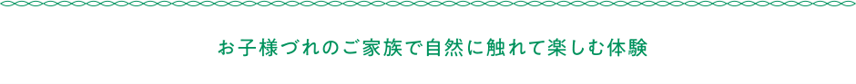 お子様づれのご家族で自然に触れて楽しむ体験