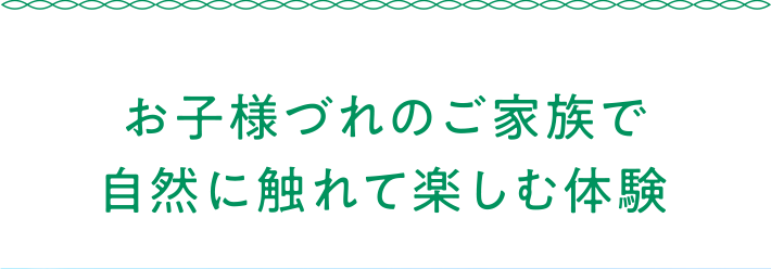 お子様づれのご家族で自然に触れて楽しむ体験