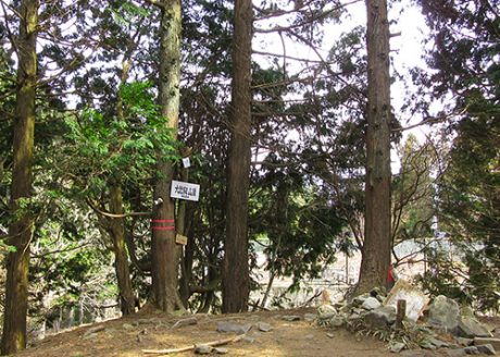 《ハイキング ①》比叡山頂から緑深い杉木立を抜けて延暦寺へ