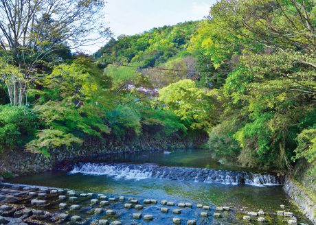＜八瀬・比叡山＞自然あふれる京都・八瀬から比叡山へ 紅葉・絶景をめぐる旅